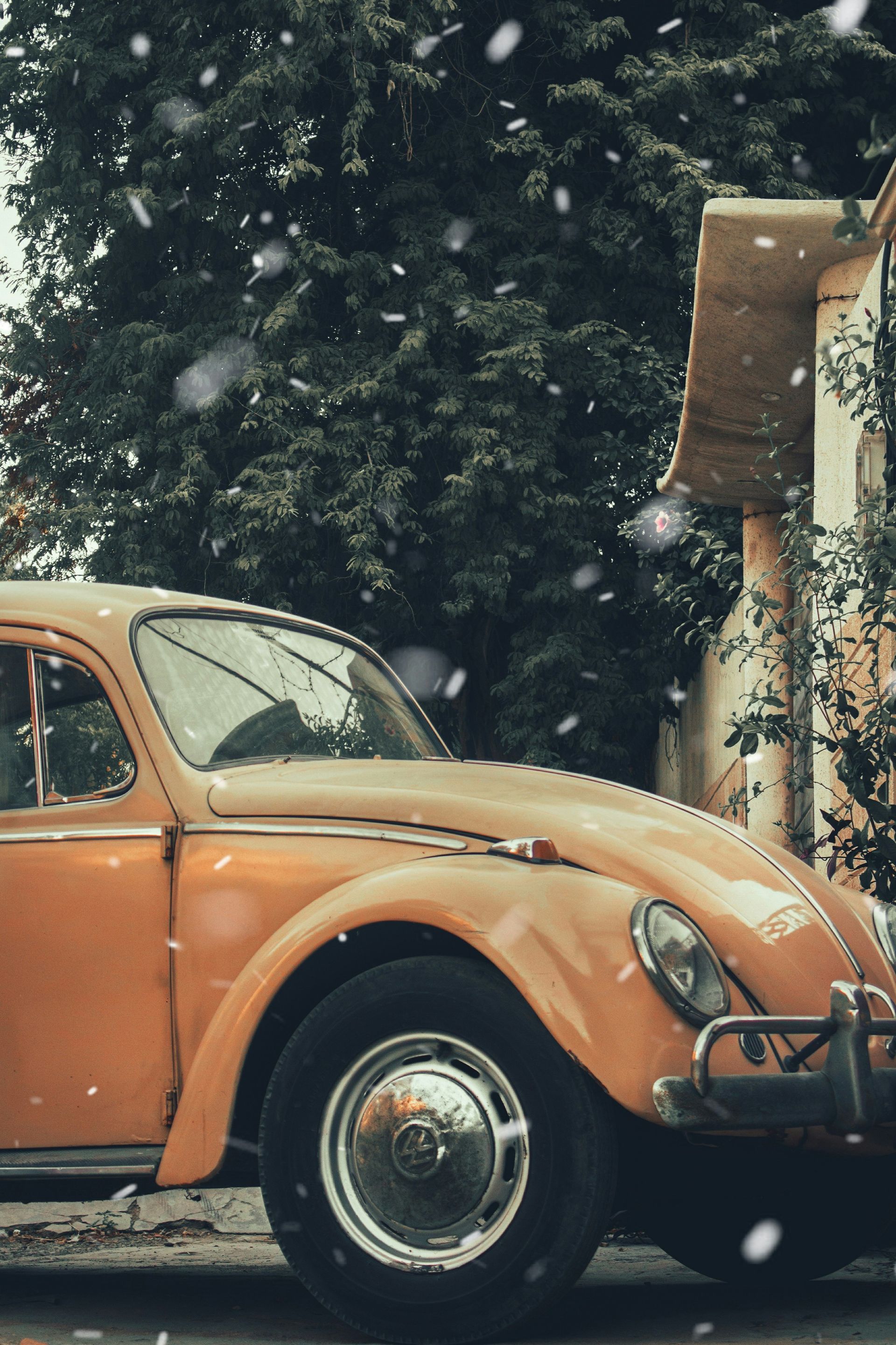 orange car parked near trees during daytime